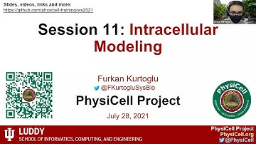 PhysiCell ws2021 Session  11: Intracellular Modeling (Part 1)