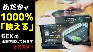 メダカの上見に特化した水槽「GEX Glassterior」を飼ってみたので、あのライトスクリーンを久々に使ってみました。