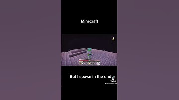 Minecraft But I spawn in the end￼