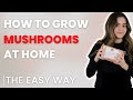 The easiest way to grow mushrooms at home with a mushroom kit from forest origins