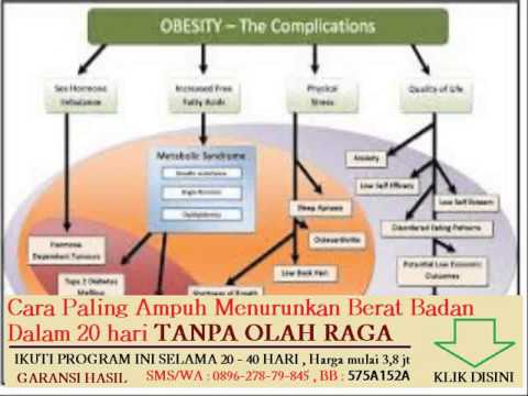 makanan sumber karbohidrat