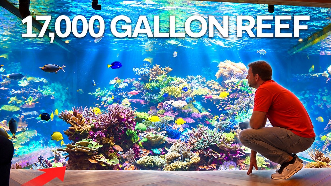 Inside World's LARGEST Private Reef Aquarium!