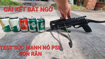 TEST LỰC NỎ SĂN PSE CON RẮN BẮN BI SẮT VÀ MŨI TÊN SIÊU CHUẨN