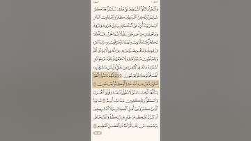 سورة البقرة القارئ الشيخ علي الحذيفي الصفحة ١٦