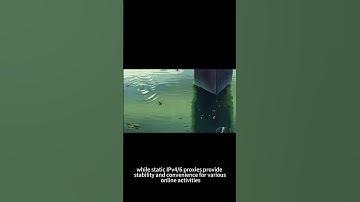 Socks Proxies and Internet Anonymity at Its Best