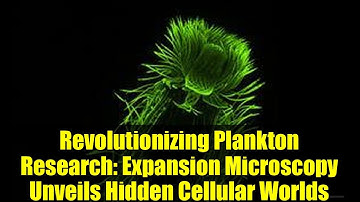 Revolutionizing Plankton Research: Expansion Microscopy Unveils Hidden Cellular Worlds