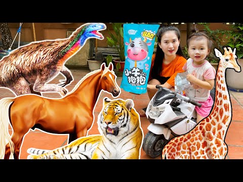 Các con vật trong vườn thú nhà Changcady, con gà, con ngựa, con hổ, cho khủng long ăn - Part 283