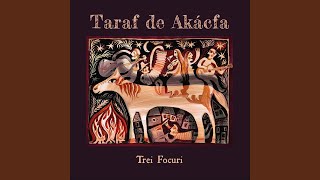 Video thumbnail of "Taraf De Akácfa - Geamparale De La Clejani"