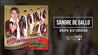 Sangre de Gallo Grupo Distinguido Contrataciones 722 107 66 36 y 722 598 63 02