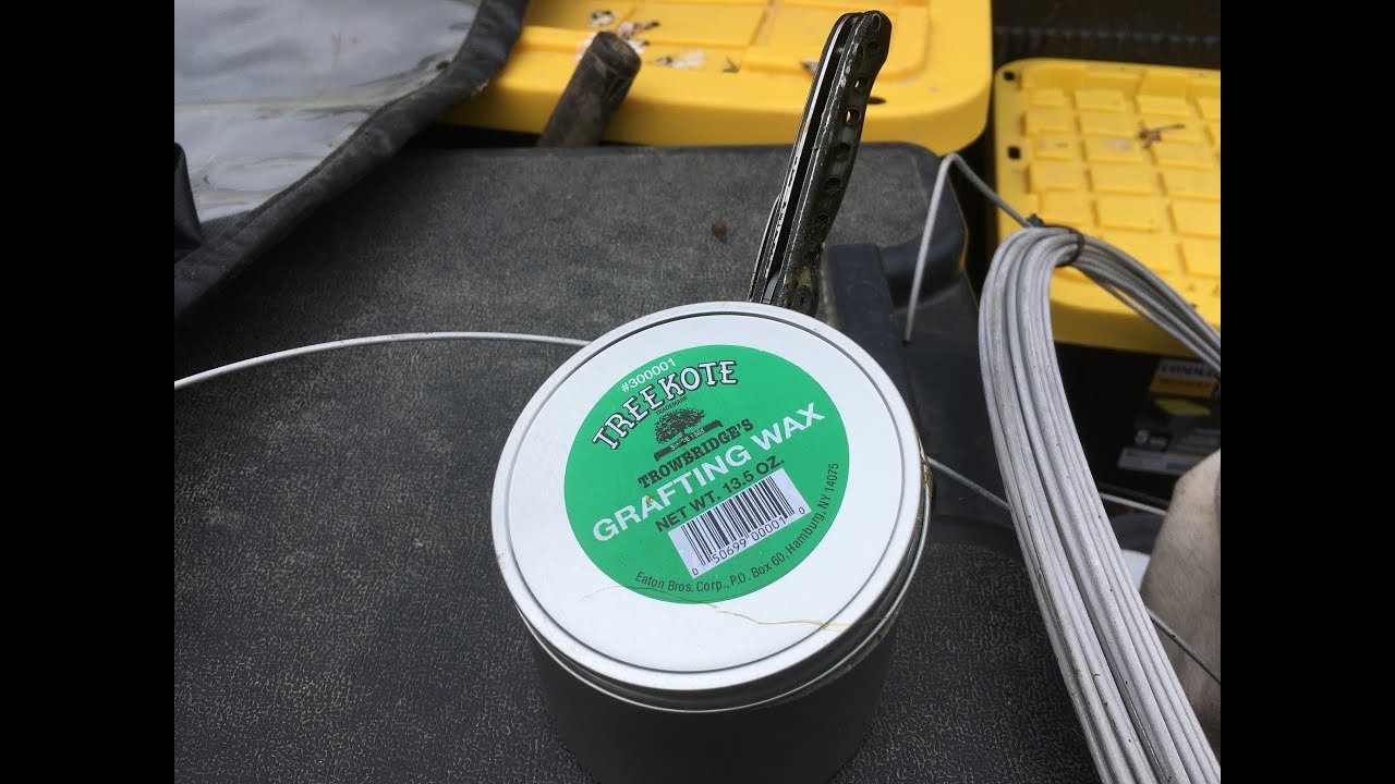 Trowbridge's Grafting Wax 7 oz. Walter E. Clark & Son