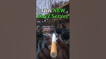 This NEW DayZ Server is AWESOME ❗