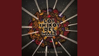 Watch Los Chikos Del Maiz Tema Oculto video