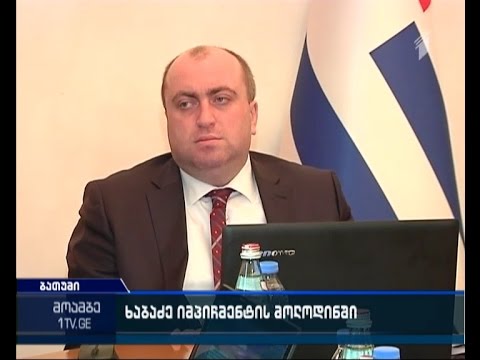ენმ არჩილ ხაბაძის იმპიჩმენტის პროცედურებს იწყებს