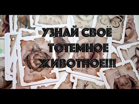 Узнай Свое Тотемное Животное, и Сделай Жизнь Лучше!