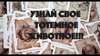 Узнай Свое Тотемное Животное, и Сделай Жизнь Лучше!