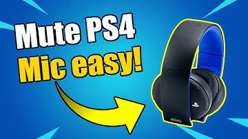 How to MUTE any PS4 Microphone and PS4 Camera Mic (Easy Method)