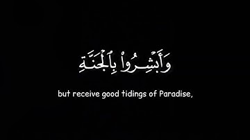 كرومات قرآن - سورة فصلت ، القارئ اسلام صبحي | آية 30