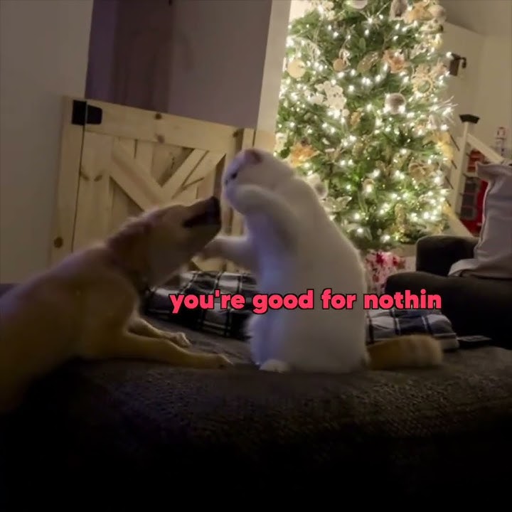 Merry Chrysler