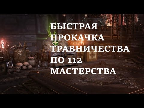 Видео: LOST ARK  2.0 КАК БЫСТРО ПРОКАЧАТЬ ТРАВНИЧЕСТВО