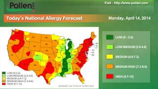 National Allergy Forecast