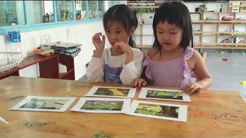 Tiếng Anh Giao Tiếp Thiếu Nhi Tại Phan Thiết: Miki and Daisy talking about Playground