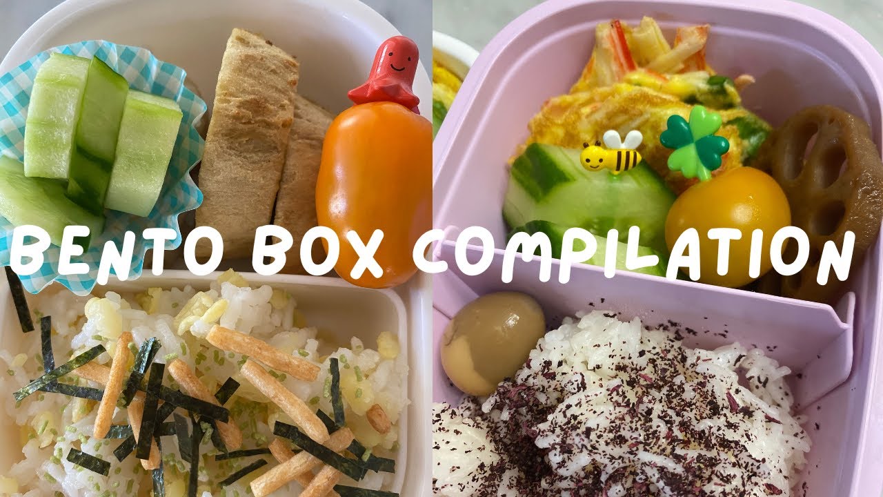 These Supercute Bento Boxes Will Help You Switch Up Your Kids' Lunchbox  Routine - Washingtonian