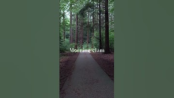 I Escaped The Stress Of Everyday Life In A Harp Castle