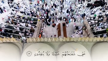ترنيم حجاز بنجاكاه من صلاة _الفجر _ للقارئ أمين الجبرتي #explore #like #ترند #nature #religion