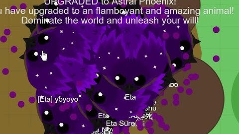 Bettermope event! Killing 11 bds! (Part 1)