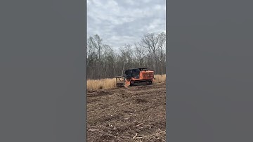 Sustainable land clearing practices #forestrymulcher #farming
