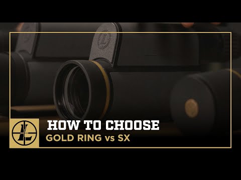 Gold Ring v