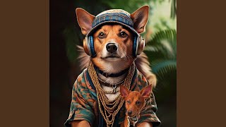 Hip Hop Paw Flow