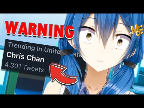 A Chris Chan Summary | Who is Chris Chan? What is Sonichu?