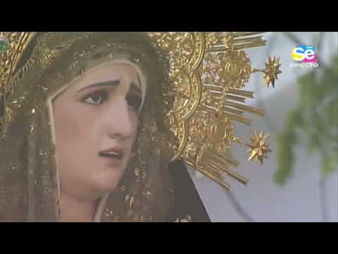 Real, Ilustre y Franciscana Hermandad y Cofradía de Nazarenos de la Santa Cruz en el Monte Calvario, Santísimo Cristo de la Salvación y Nuestra Señora de la Soledad