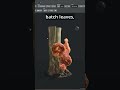Speedtree Quicktip-Projector Tool See full video in link #blender #vfx #speedtree #cgi