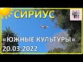 Прогулка по Парку "Южные культуры" | 20.03.2022