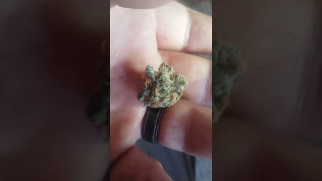 Strawberry Kush review