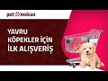 Köpek Sahiplenme - İlk Alışverişi - Köpek Malzemeleri - Köpeğinizin İlk Maması