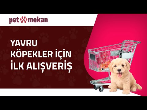 Video: Yeni Köpek Yavrusu Kontrol Listesi - Köpek Malzemeleri - Köpek Maması, İkramlar, Oyuncaklar Ve Daha Fazlası