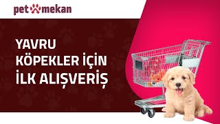 Kopek Sahiplenme Ilk Alisverisi Kopek Malzemeleri Kopeginizin Ilk Mamasi Youtube