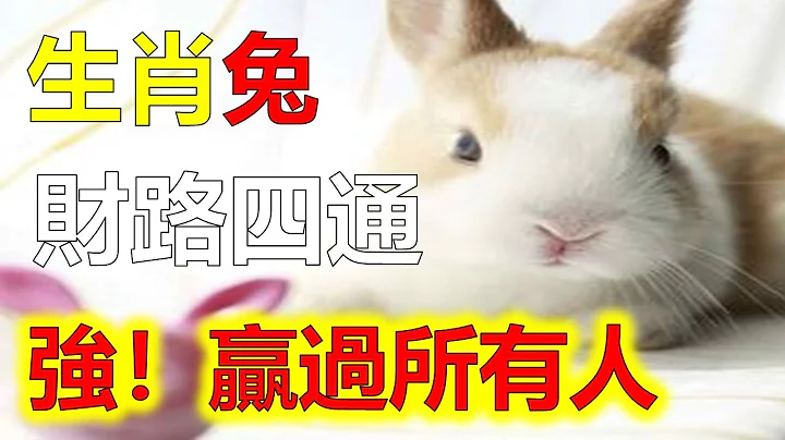 生肖兔要注意！屬兔人下半年千萬小心！提前預知運勢，趨吉避凶，2023年12生肖運勢，預測十二生肖運勢（牛、蛇、雞、豬）預言生肖運勢（虎、馬、狗、羊）預知生肖運程（鼠、龍、猴、兔） - 天天要聞