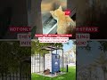 Talk about a win-win for the environment and our furry friends! ❤️ #lovindubai