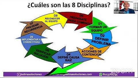 8 Disciplinas Solucion de Problemas 8D