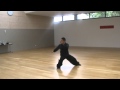 Tai Chi Chuan style Chen