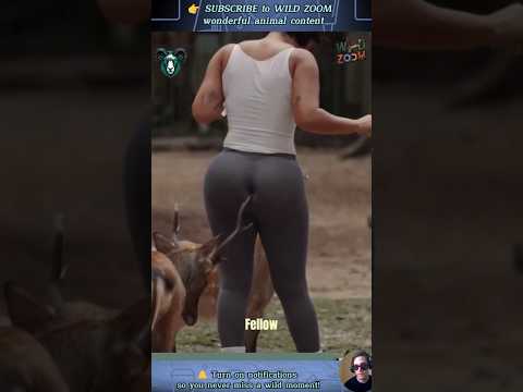 19 UNSEEN Animal