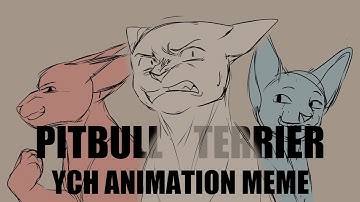 CW!【 Pitbull Terrier 】CLOSED YCH animation meme - REUPLOAD read desc