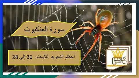 سورة العنكبوت :  شرح أحكام التجويد للآيات من 26 الى 28