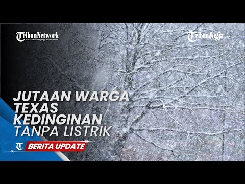 Video: 15 Sebab Mengapa Kita Semua Perlu Bergerak Ke Texas Sekarang - Rangkaian Matador