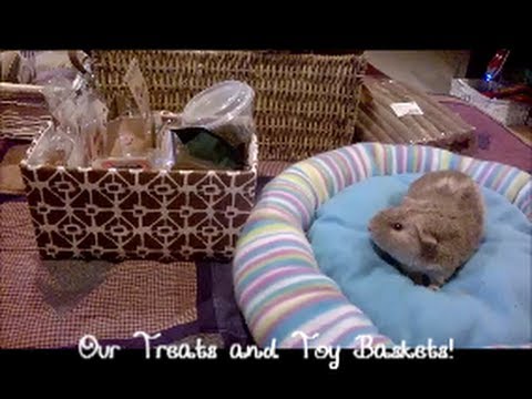 toysrus What's In Our Treats and Toy Baskets!?