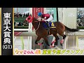 【東京大賞典】12月29日(月)15時40分発走『ウマきゅん重賞予想』
